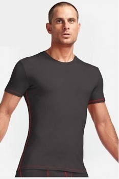 Термофутболка Icebreaker Anatomica SS Crewe BF150 арт. 100466